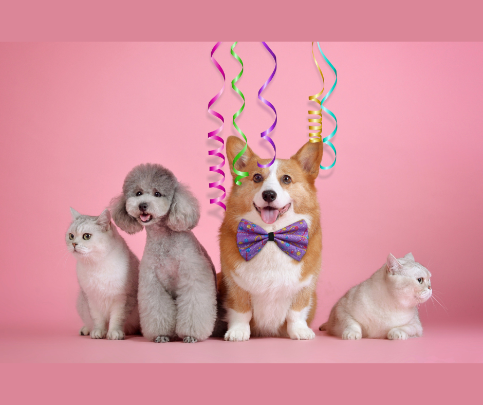 Untitled design (1) Untitled design (1)